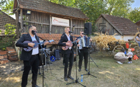  - (XVI. »Tavankutski festival voća i autohtonih  / )