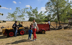  - (XVI. »Tavankutski festival voća i autohtonih  / )