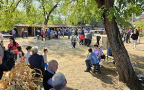  - (XVI. »Tavankutski festival voća i autohtonih  / )