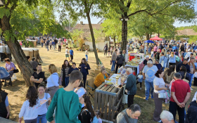  - (XVI. »Tavankutski festival voća i autohtonih  / )