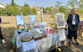  - (XVI. »Tavankutski festival voća i autohtonih  / )