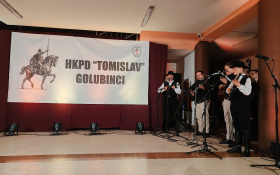 Koncert u Golubincima
