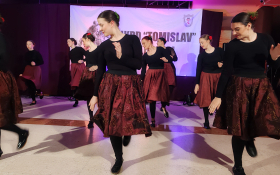 Koncert u Golubincima