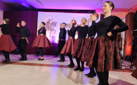 Koncert u Golubincima