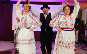 Koncert u Golubincima