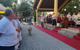 - (Proslava Velikih Tekija u Petrovaradinu / )