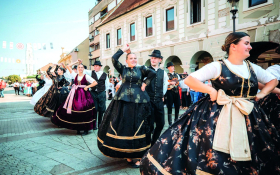 »Evo vama iz Bačke Hrvata«