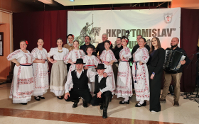 Koncert u Golubincima