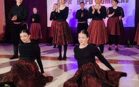 Koncert u Golubincima