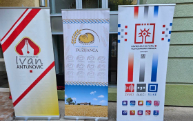  - (Krune Ane Milodanović na izložbi »S Božjom po / )