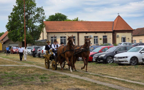  - (Dužijanca u Žedniku / )