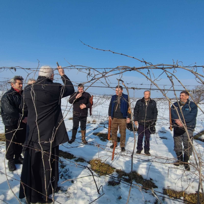 Blagdan Svetog Vinka u Rumi 