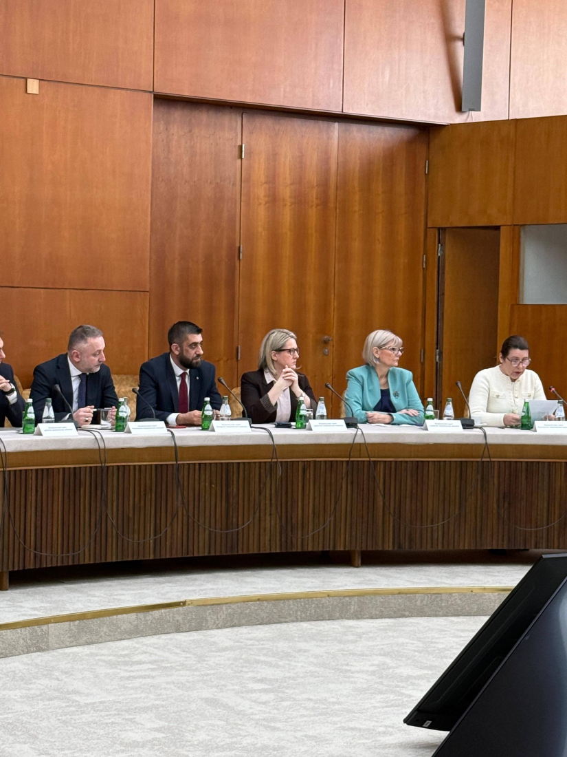 Jasna Vojnić na sjednici Savjeta za manjine: Ključni izazovi financiranje i politička zastupljenost