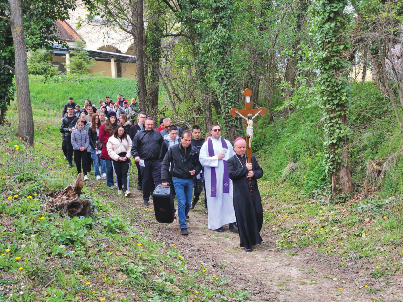 Križni put mladih Srijemske biskupije 