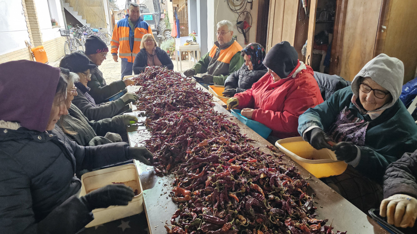 Paprika iz kuće Francuz: tradicija koja se održava radom, ne brzinom
