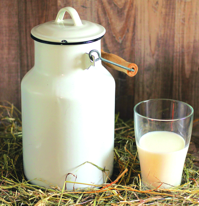 Poljoprivrednici traže zaštitu domaće proizvodnje mlijeka i mesa