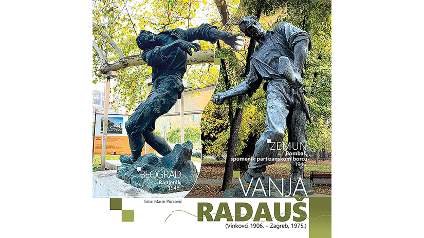 Bombaš i Ranjenik Vanje Radauša