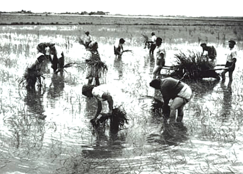 Hrvati u Kosančiću