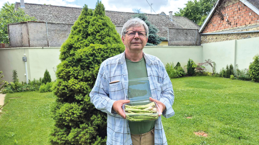 Egzotična kultura na bačkoj zemlji 