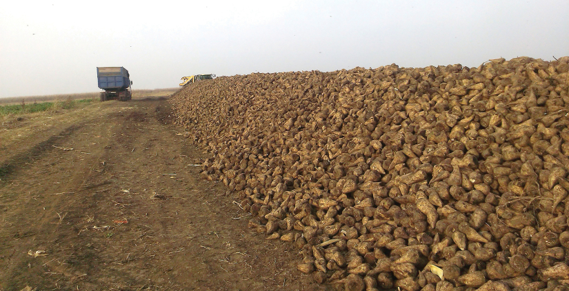 Između cijene i  zahtjevne proizvodnje
