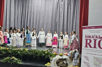 »Šokačka rič« u Monoštoru: »Štokavčići« i likovna radionica