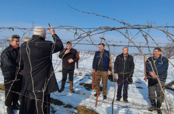 Blagdan Svetog Vinka u Rumi 
