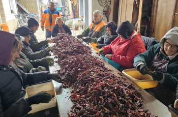 Paprika iz kuće Francuz: tradicija koja se održava radom, ne brzinom