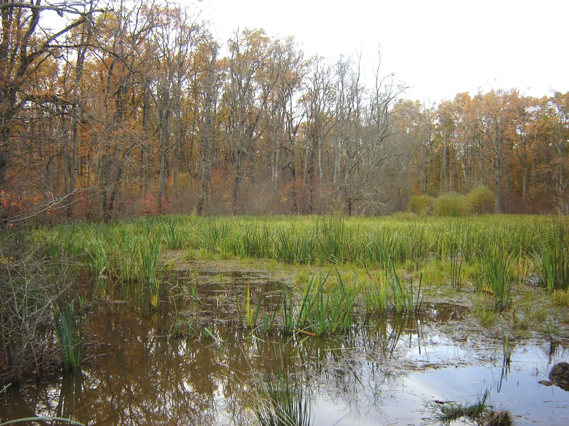 Zaštićeno područje od nacionalnog i međunarodnog značaja