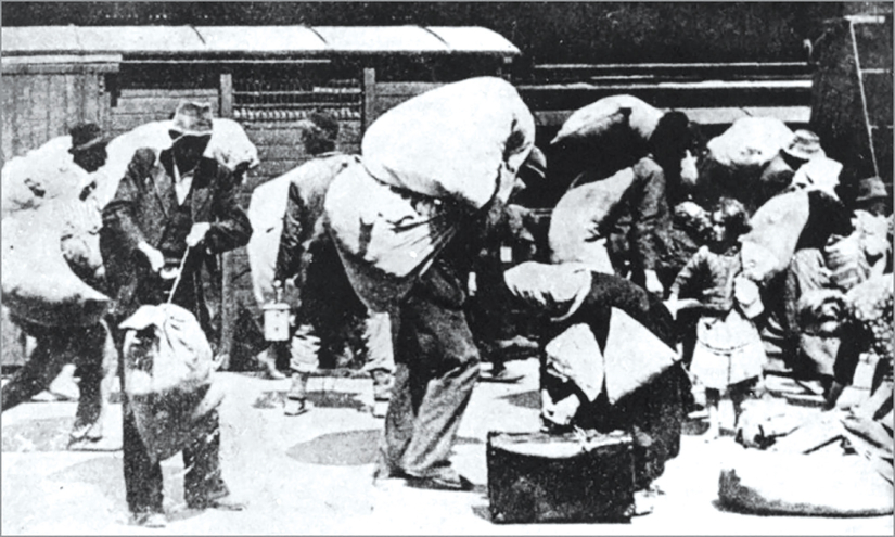 Kolonizacija iz  Bosne i Hercegovine